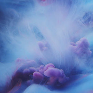 Meet your Posher, Kyley